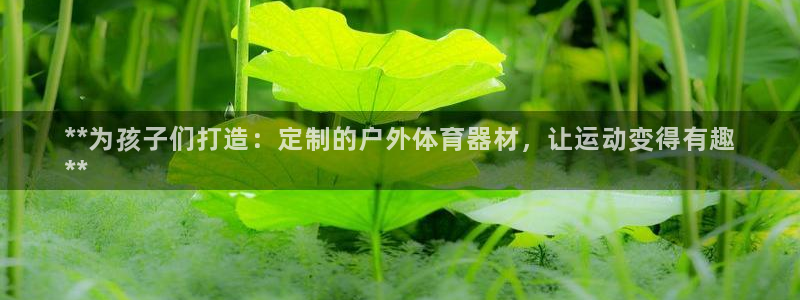 凯时app官方首页：**为孩子们打造：定制的户外体育