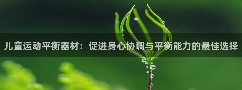 尊龙凯时人生就博官网登录：儿童运动平衡器材：促进身心