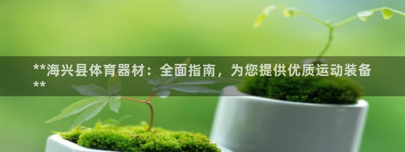 凯时k66官方发布：**海兴县体育器材：全面指南，为