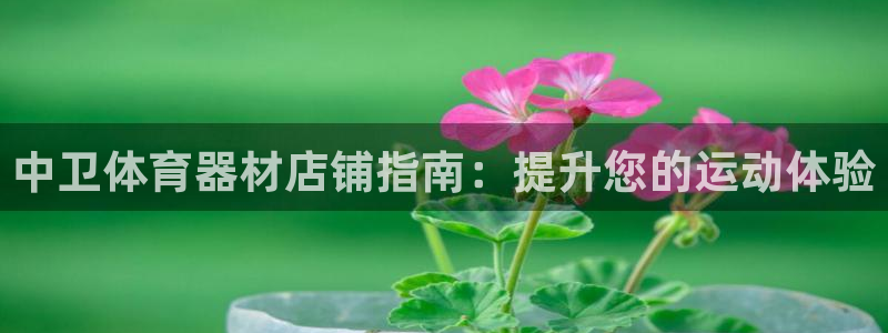 尊龙客服：中卫体育器材店铺指南：提升您的运动体验