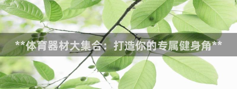 尊龙官方网址：**体育器材大集合：打造你的专属健身角
