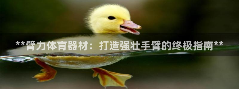 尊龙人生就是博D88：**臂力体育器材：打造强壮手臂