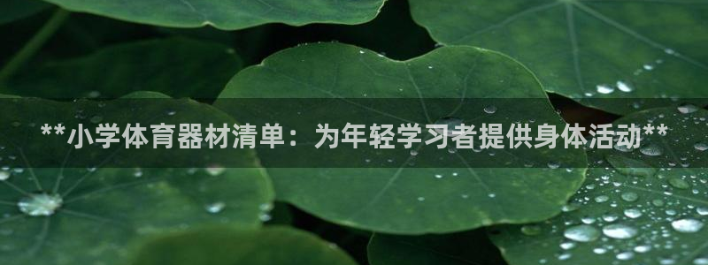 凯时kb88官网网址：**小学体育器材清单：为年轻学