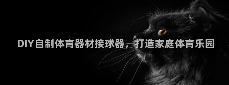 尊龙app怎么样： DIY自制体育器材接球器，打造家