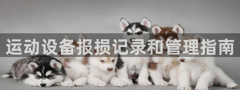 尊龙凯时游戏厅：运动设备报损记录和管理指南