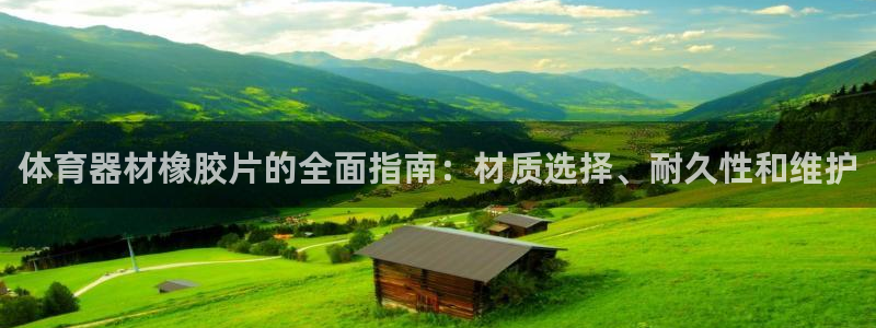 尊龙公司：体育器材橡胶片的全面指南：材质选择、耐久性