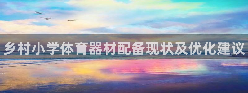 尊龙凯时赞助：乡村小学体育器材配备现状及优化建议