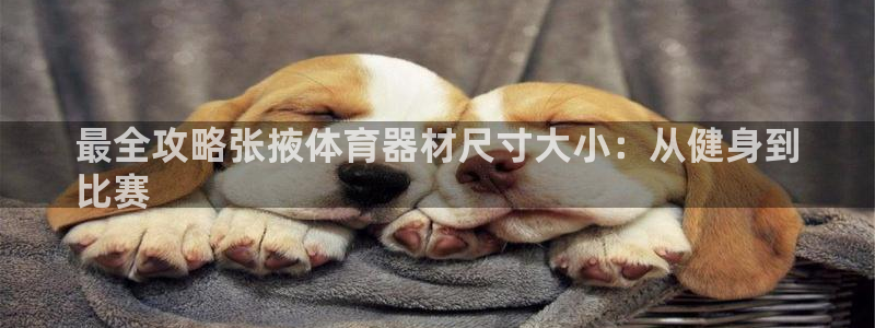 尊龙z6官网：最全攻略张掖体育器材尺寸大小：从健身到