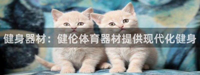 凯时登录首页,凯时K66：健身器材：健伦体育器材提供