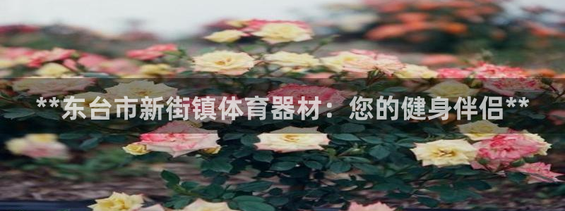尊龙凯时人生就是博游戏网站：**东台市新街镇体育器材