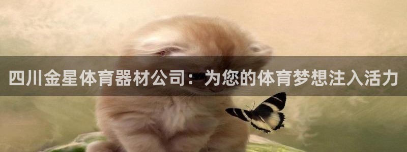 尊龙500价格：四川金星体育器材公司：为您的体育梦想
