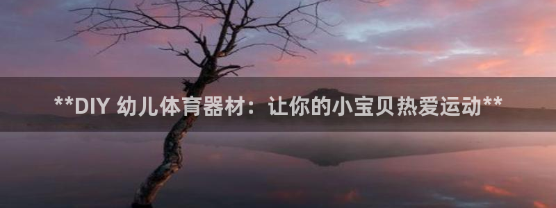 尊龙现金：**DIY 幼儿体育器材：让你的小宝贝热爱