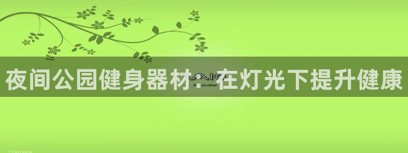 尊龙人生就是博旧版现：夜间公园健身器材：在灯光下提升