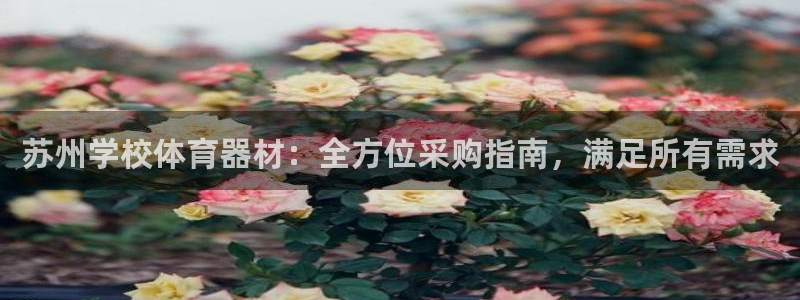 尊龙人品怎么样：苏州学校体育器材：全方位采购指南，满