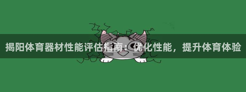 d88尊龙官网手机app：揭阳体育器材性能评估指南：