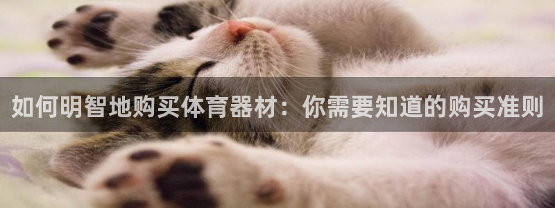 kb88凯时唯一官网注册：如何明智地购买体育器材：你