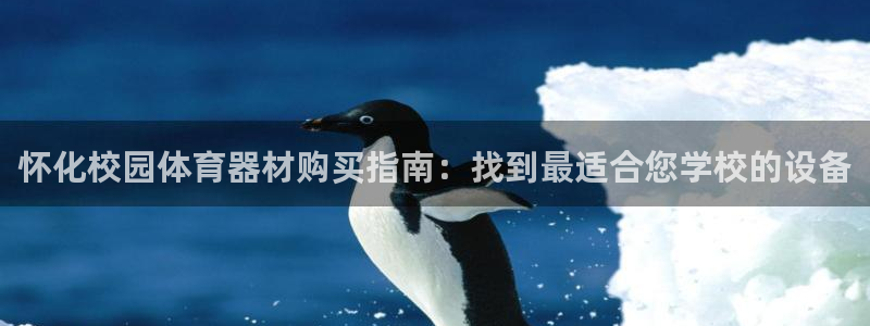 尊龙休闲e站怎么样：怀化校园体育器材购买指南：找到最
