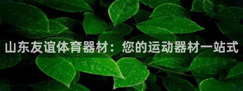 尊龙app认可ag发财网：山东友谊体育器材：您的运动