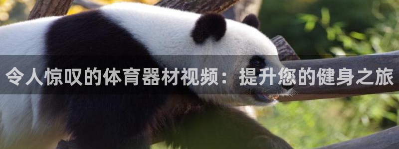 尊龙一人生就是博电子游戏：令人惊叹的体育器材视频：提