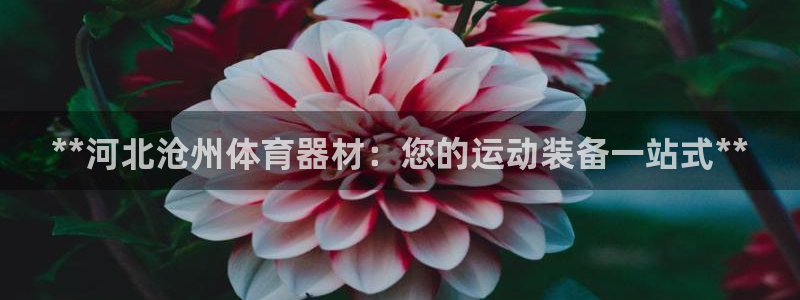 尊龙旗舰店：**河北沧州体育器材：您的运动装备一站式