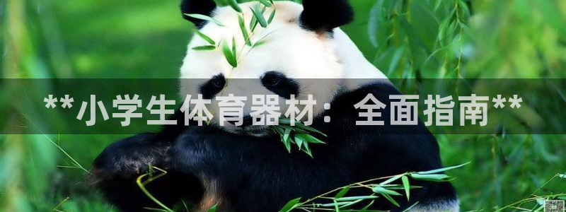 尊龙凯时 - 人生就是搏手机登录：**小学生体育器材