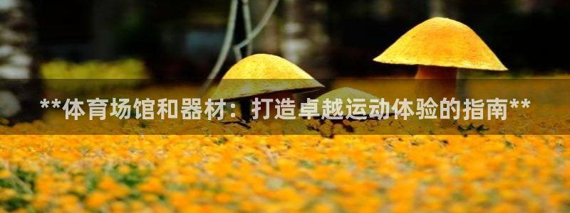尊龙凯时官网首页：**体育场馆和器材：打造卓越运动体