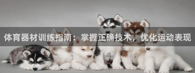 尊龙集团有限公司：体育器材训练指南：掌握正确技术，优