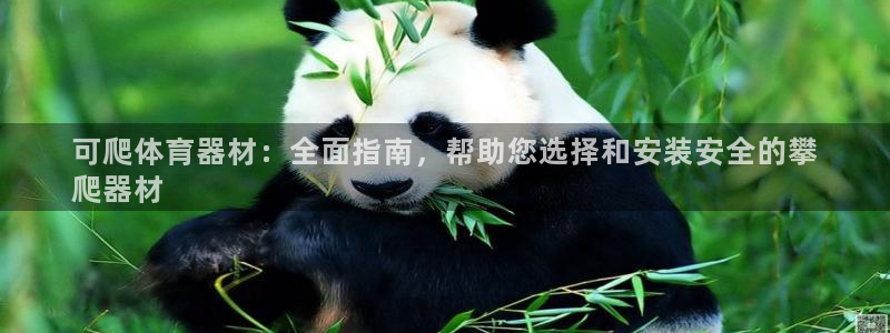 凯时在线平台官网：可爬体育器材：全面指南，帮助您选择
