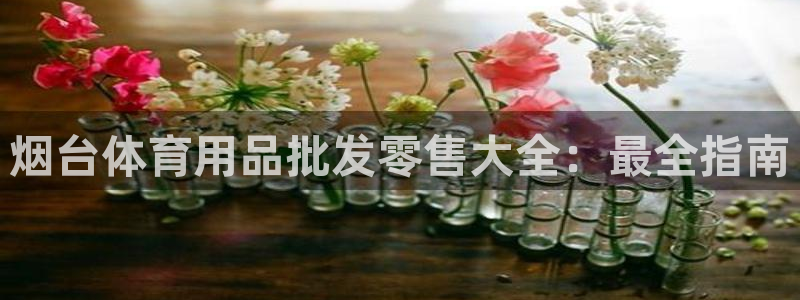 尊龙凯时有限公司：烟台体育用品批发零售大全：最全指南