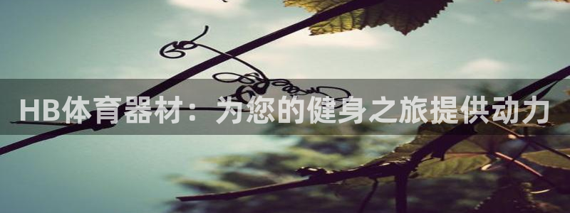 尊龙人生就是博l：HB体育器材：为您的健身之旅提供动