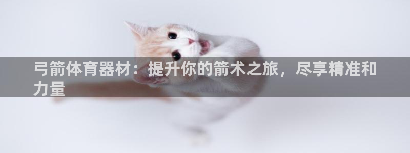 尊龙2020：弓箭体育器材：提升你的箭术之旅，尽享精