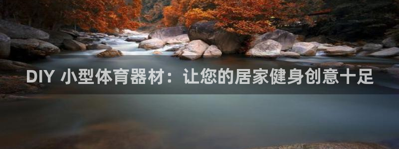 尊龙官方网站首页：DIY 小型体育器材：让您的居家健