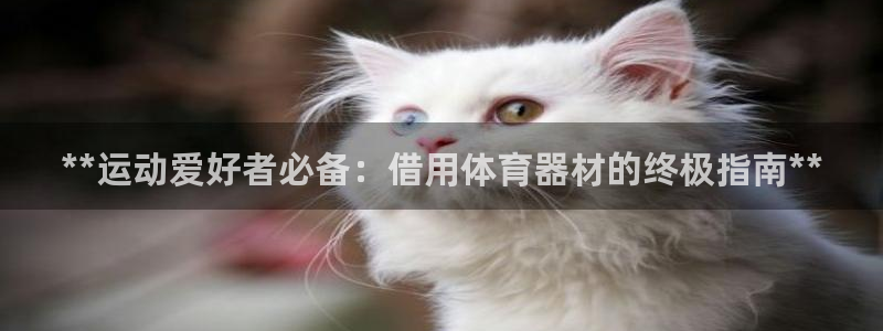尊龙凯时合法吗?：**运动爱好者必备：借用体育器材的