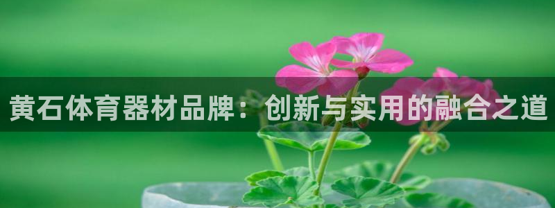 尊龙新版登录网址下载