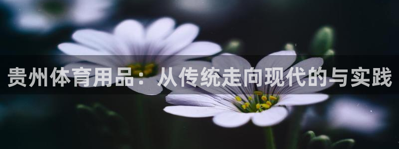 尊龙人生就是博登录首页