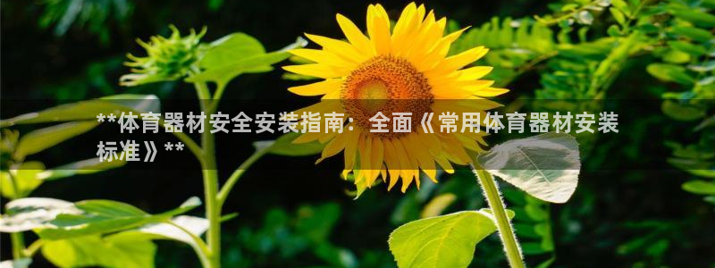 尊龙凯时老板：**体育器材安全安装指南：全面《常用体