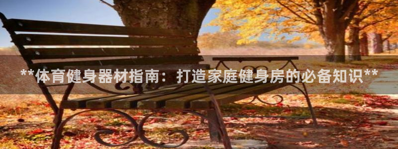 尊龙d88现金关注ag发财网：**体育健身器材指南：