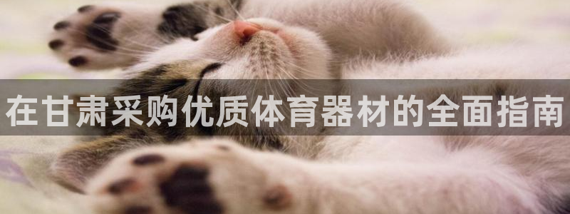 尊龙凯时v7要冲多少：在甘肃采购优质体育器材的全面指