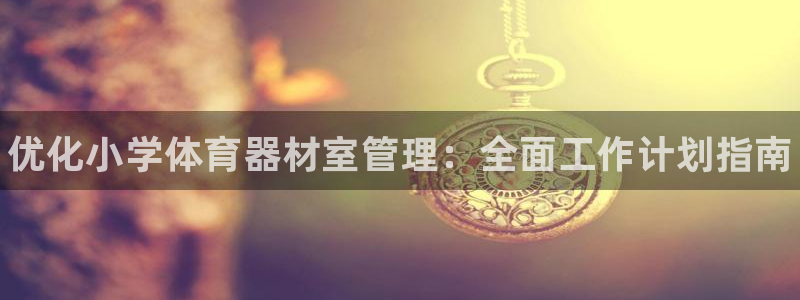 尊龙凯时城游戏官网：优化小学体育器材室管理：全面工作