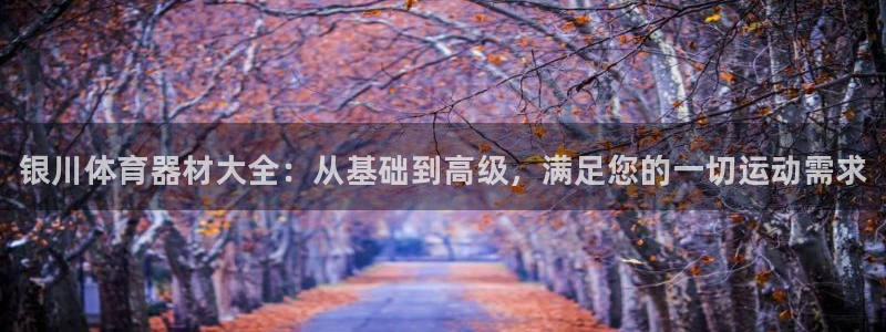 尊龙官方网站最新版V9.3.06介绍：银川体育器材大