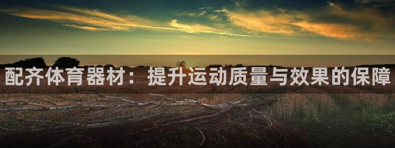 尊龙凯时法充十万返现多少：配齐体育器材：提升运动质量