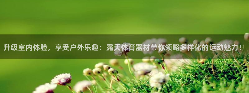 尊龙最近一次露面：升级室内体验，享受户外乐趣：露天体