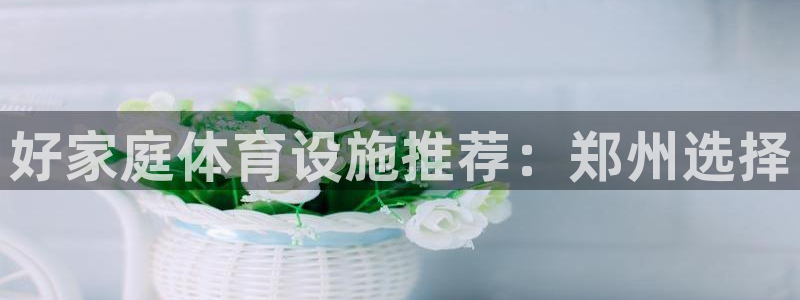 尊龙最新版：好家庭体育设施推荐：郑州选择