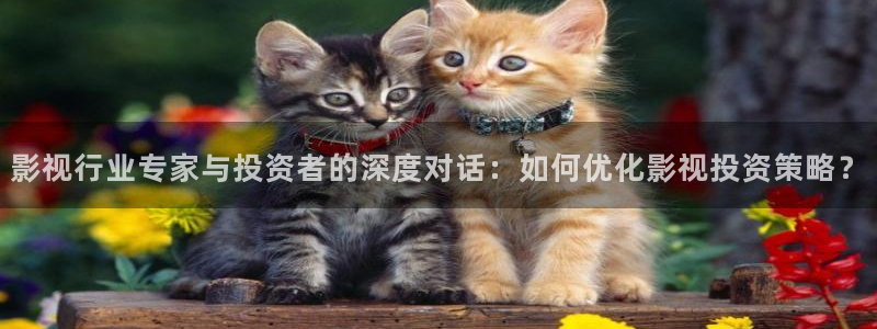 三米影视一路朝阳