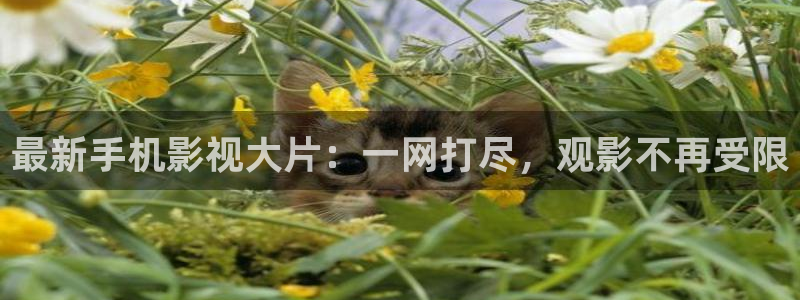 三米影视,