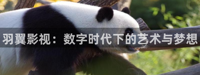 三米影视,