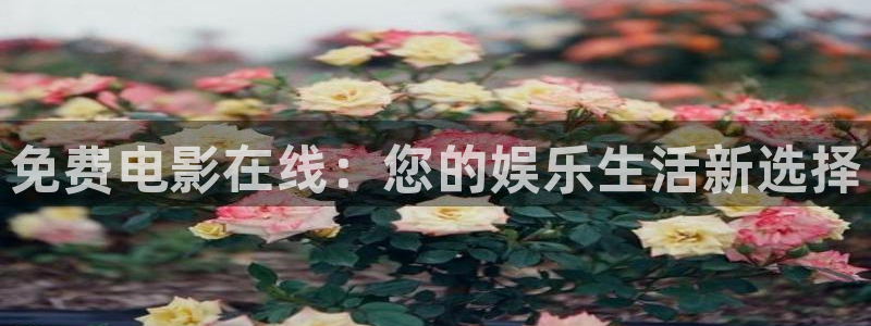 电视剧大全三米影视