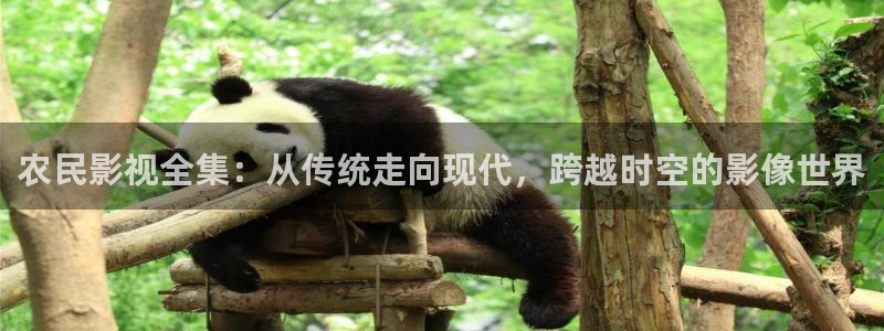 神马影院三米